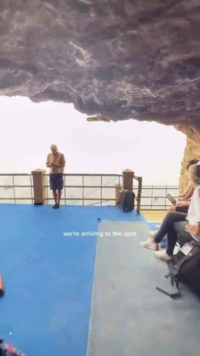 Morgane Herculano 🇨🇭