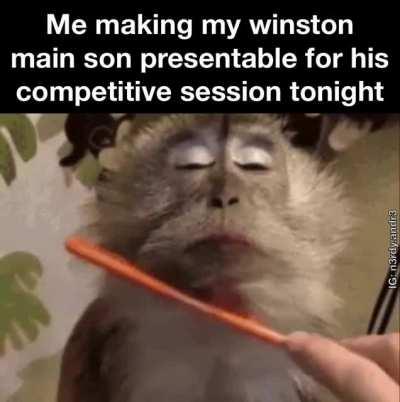 He will get into gold