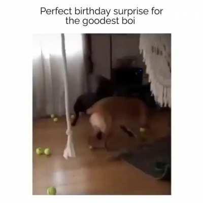 Perfect birthday gift