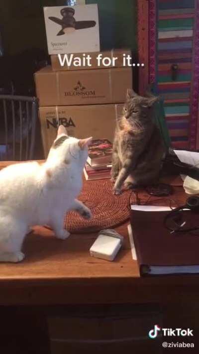 A challenger has entered the ring