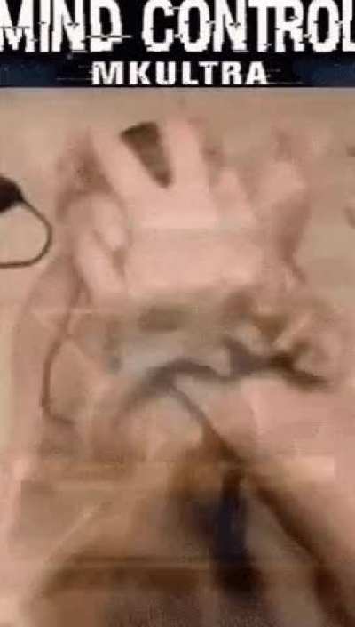 I cast frenzy on the alfiq, he attacks the innocent Lilmothiil merchant