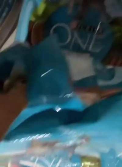 Missing Kitty Located