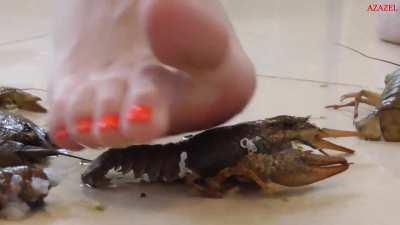 Cruel Anastasia (DM to Trade)