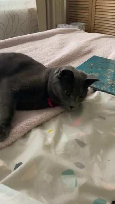 How to activate Blep function