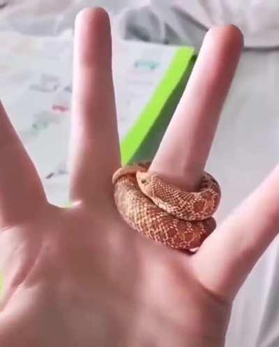 Look at this little guy