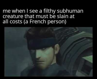 Solid snake 