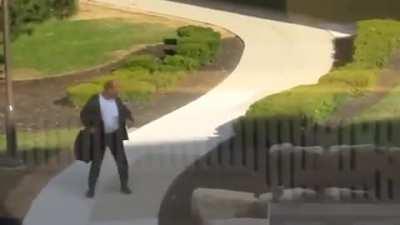 A fight with a goose