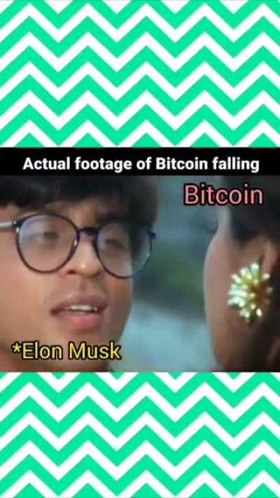 Elon Musk & Bitcoin Caught On Camera...