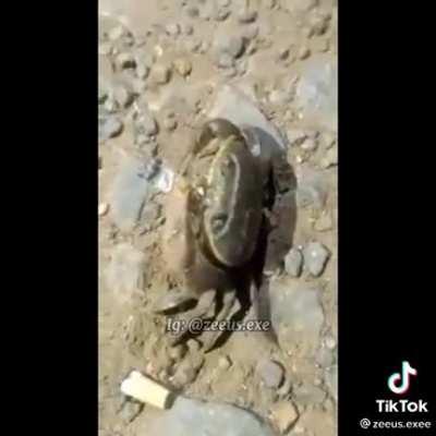 (titulo interesante pq no se que poner)