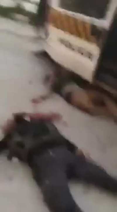 Video shows hts soldiers killed by alawites