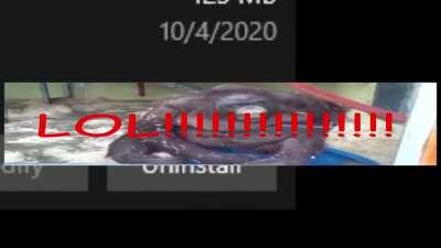 I will never be able to quit osu!