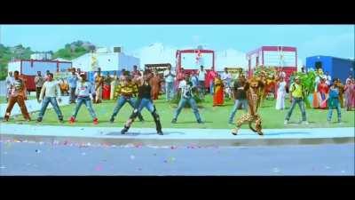 Cheetahs on coming to India.