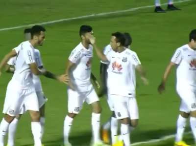 Gol de Thiago Ribeiro pelo Santos contra o Vitória no Brasileirão 2014 que garantiu o Palmeiras na Série A