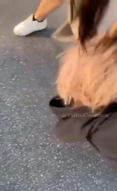 She called them whores, got beat up, then cried about being raped