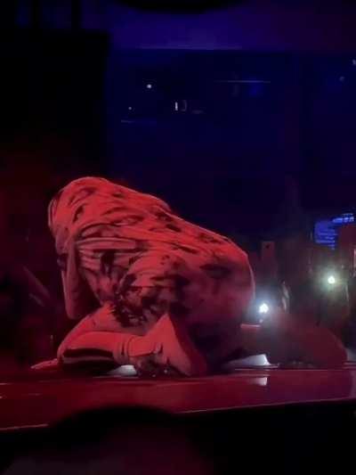 Booty View for Dublin Night 2