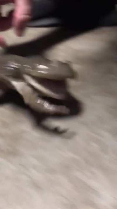 DON'T TOUCH ME WAAAAAAAAAAAAAAAAAAAAAAAAAAAAAAAAAAAAAAAAAAAAAAAAAAAAA