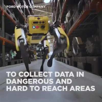 Meet Fluffy, The New Robot Dog Mapping A Ford Factory In Michigan.