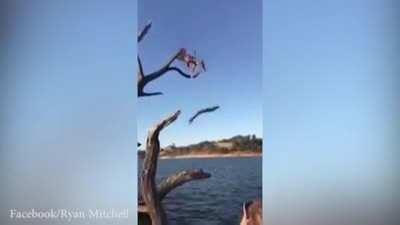 Make sure to record this, please!