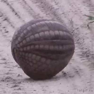 A dota 2 hero with aghanim shard