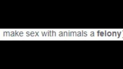 Ceaser what are you doing with that pigeon