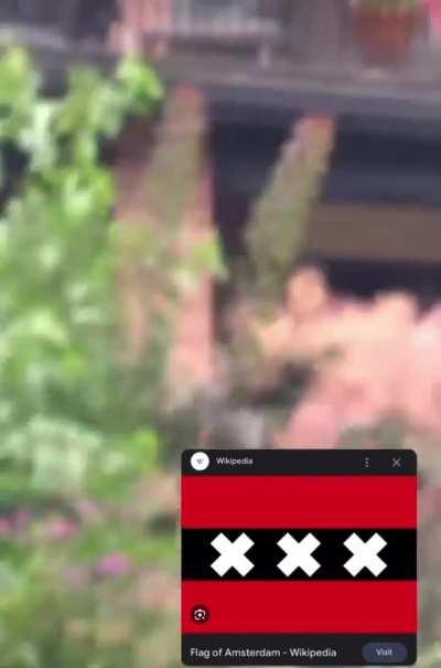 Apparently Amsterdam is NSFW from on now