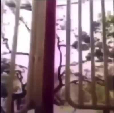 He’s an 8 yr old now