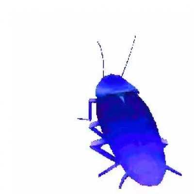 Why not just set this as your profile pic?