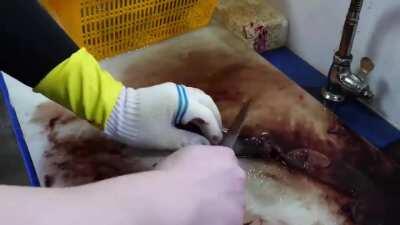 If you feel the urge, just watch this video and imagine how it would feel...