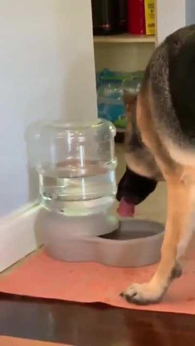 What is this human ?