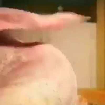 Number 15 twerking chicken