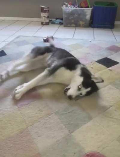 Throwing a hissy fit