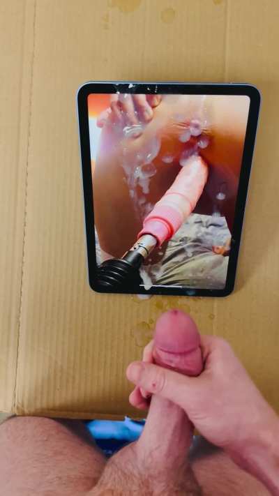 Request logged. Chaos delivered.