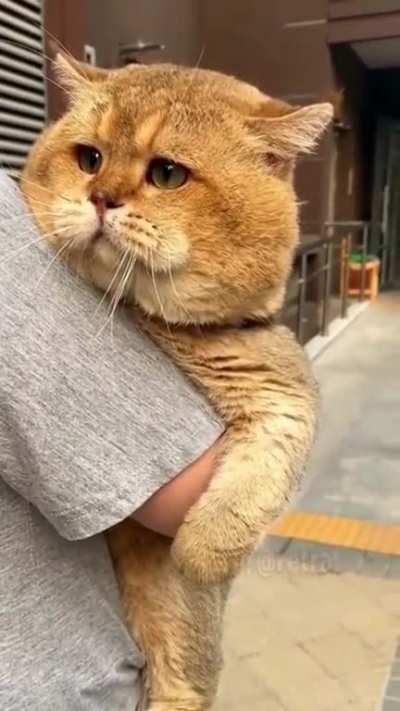 A kind of unit of a chonker