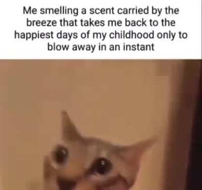 Weird how that just happens sometimes