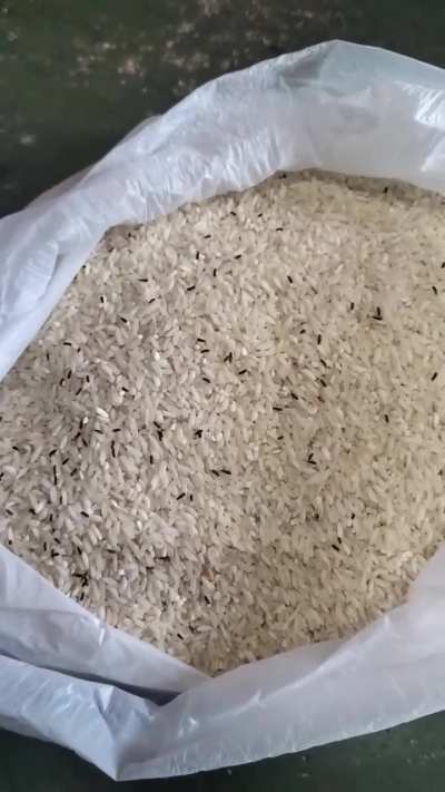 Rice with bugs. Honestly, I don't see anything wrong. They should be grateful to the Revolution for additional sources of protein.