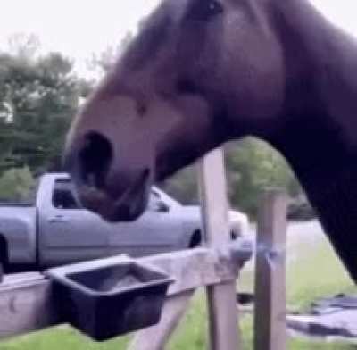 Wunkos has been alarted!!!!