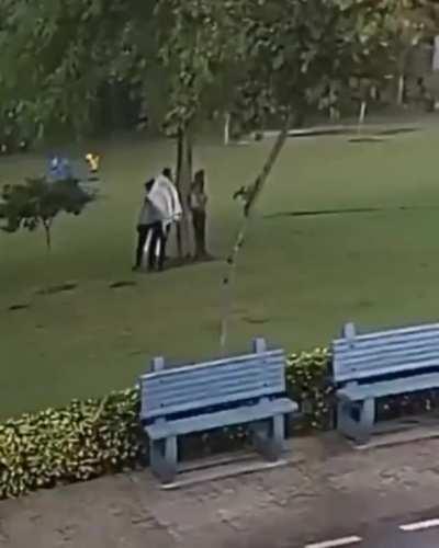 remember, NEVER stand under a tree during a storm