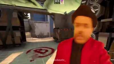 wolfangkillers planta en B