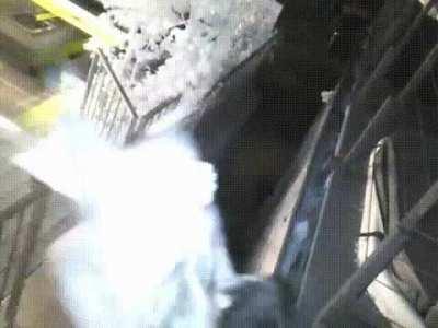 Frank, the Raccoon banisher. The nemesis of Procyon lotor.