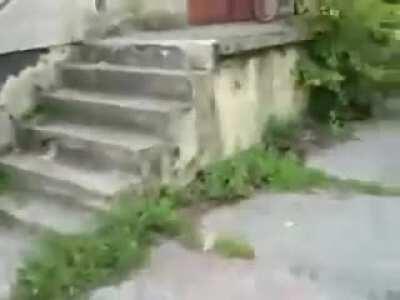 HMJB while i become a classic polish meme