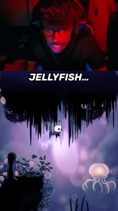 These jellyfish…