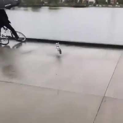 Not Just Once but Twice Things Going Wrong!