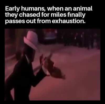 Persistence hunting must have been something else. Hunted animals probably thought our ancestors were terminators or something.