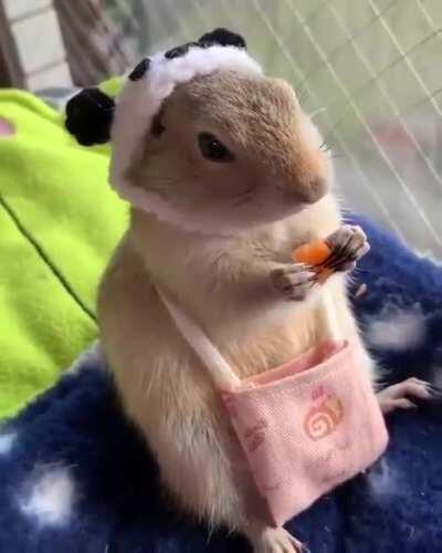 Brought his own snacks