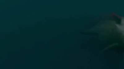 Credit: OtherWorld_VFX (YouTube) beautifully animated that moonlight shining through vast dark ocean 