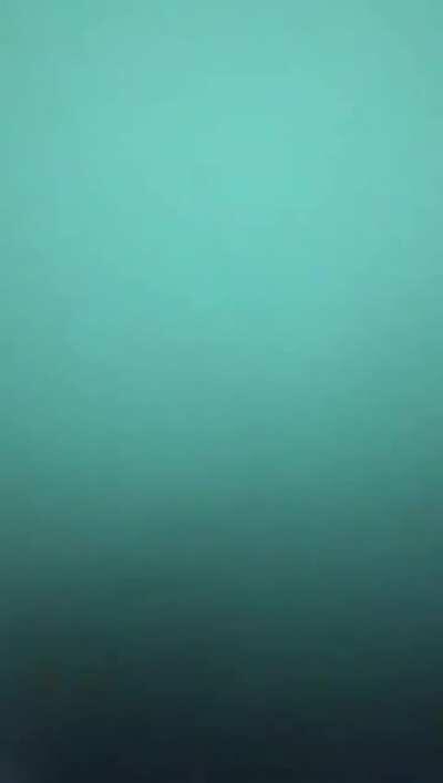 WCGW, when you put your dick in a gloryhole