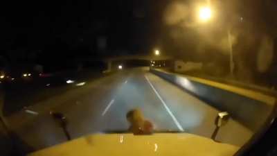 Always look twice before crossing