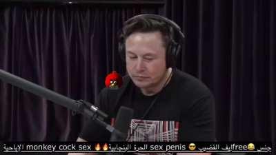 ‎الجنس ELON MUSK BABY=XXXTENTACION??? 🤔🤔🤔تنزيل الفيلم البنجابية الحرة free بروه camel sex😂😂😂