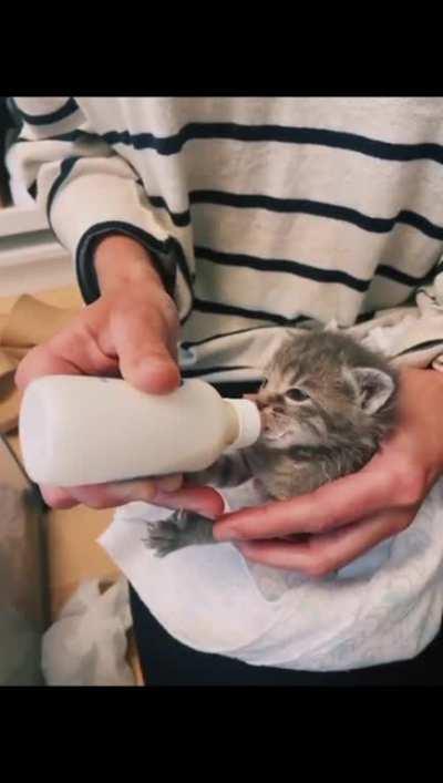 Silly little goofballs 💥👊👊🤯😜❤️❤️👌