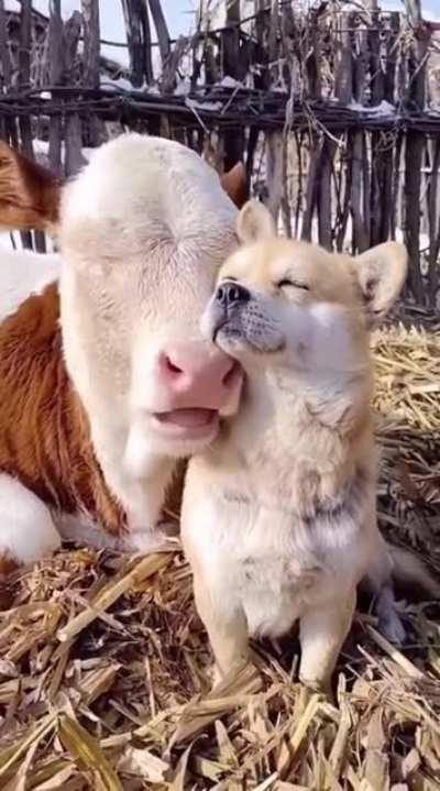 Was gibt es Besseres als an einem kalten Sonntag gemeinsam die warmen Sonnenstrahlen zu genießen?